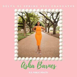 Image post by @texas_akas on Instagram