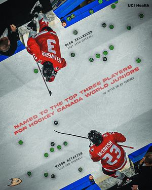 Image post by @anaheimducks on Instagram