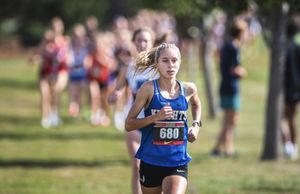 Image post by @dyestat on Instagram