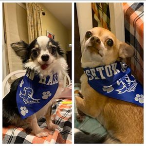 Image post by @setonhall on Instagram
