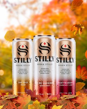 Image post by @drinkstilly on Instagram