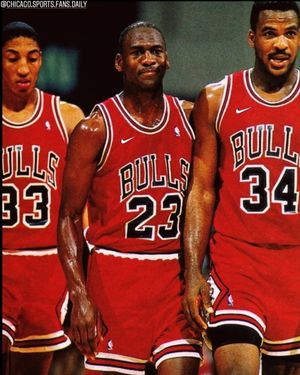 Image post by @chicago.sports.fans.daily on Instagram