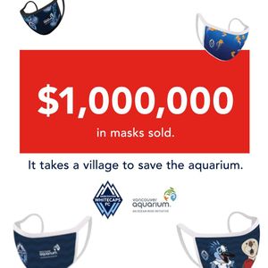 Image post by @whitecapsfc on Instagram
