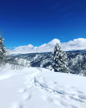 Image post by @granbyranch on Instagram