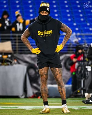 Image post by @steelers on Instagram