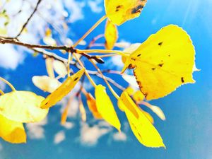 Image post by @granbyranch on Instagram