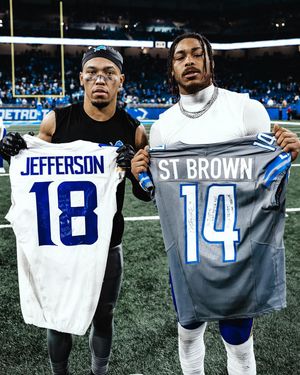Image post by @detroitlionsnfl on Instagram