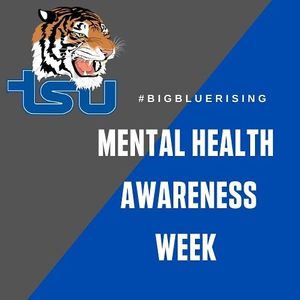 Image post by @tsutigers on Instagram