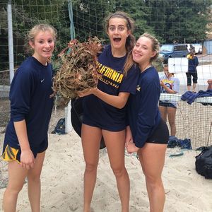 Image post by @calbeachvb on Instagram