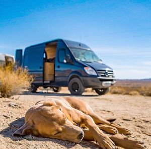 Image post by @mercedesbenzvansusa on Instagram