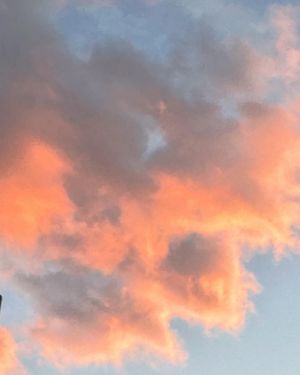 Image post by @ryleespaxton on Instagram