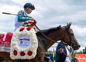 Image post by @thoroughbred_daily_news on Instagram
