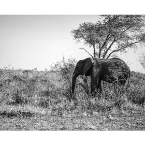 Image post by @francesco__laporta on Instagram