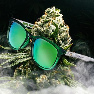 Image post by @knockaround on Instagram