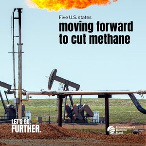 Image post by @environmental_defense_fund on Instagram