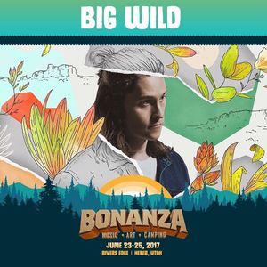 Image post by @bigwildmusic on Instagram