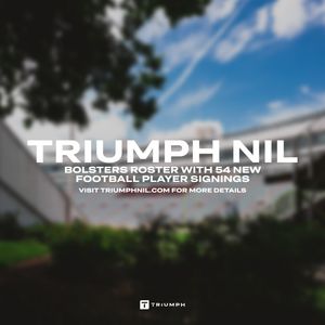 Image post by @triumph_nil on Instagram