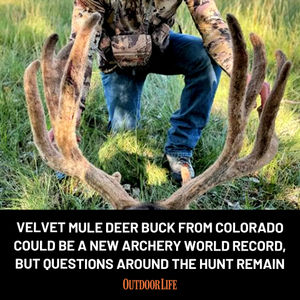 Image post by @outdoor_life on Instagram