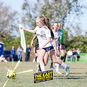 Image post by @dp_league on Instagram