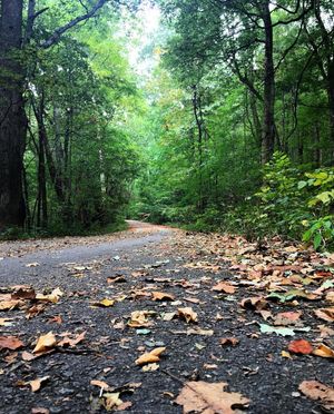 Image post by @runninglane on Instagram