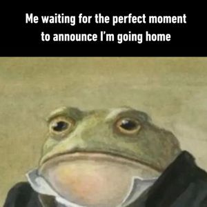 Image post by @9gag on Instagram