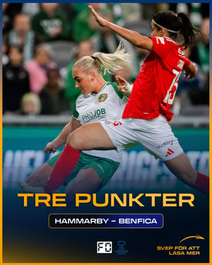 Image post by @fotbolldirekt on Instagram