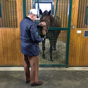 Image post by @spendthriftfarm on Instagram