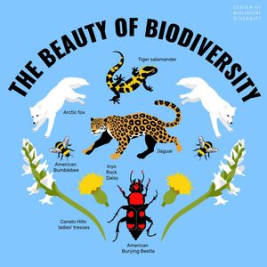 Image post by @centerforbiodiv on Instagram