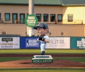 Image post by @gohammerheads on Instagram