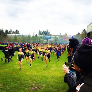Image post by @bowermantc on Instagram