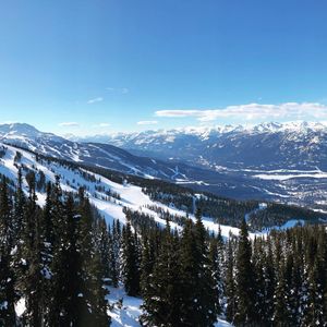 Image post by @krisspelce on Instagram