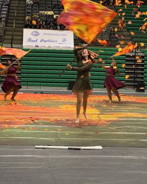 Image post by @wgicolorguard on Instagram