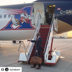 Image post by @mtlalouettes on Instagram