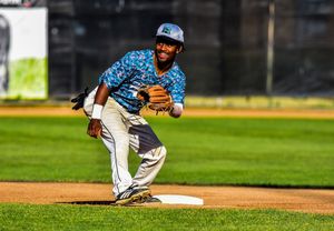 Image post by @RochHonkers on Twitter