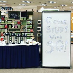 Image post by @sgumflint on Instagram