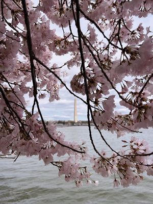 Image post by @nationalparktrust on Instagram