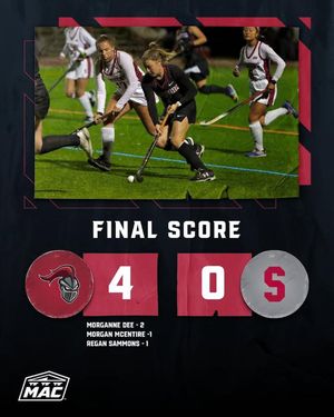 Image post by @arcadia_knights on Instagram