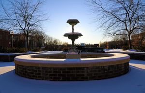 Image post by @bloomsburgu on Instagram