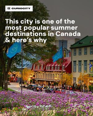 Image post by @curiocitycalgary on Instagram