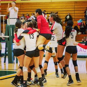 Image post by @fairfieldstags on Instagram