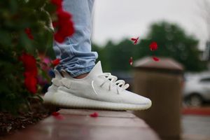 Image post by @shotbytwinky on Instagram