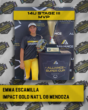 Image post by @thealliancefastpitch on Instagram