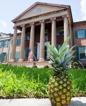 Image post by @collegeofcharleston on Instagram