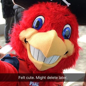 Image post by @shippensburgu on Instagram