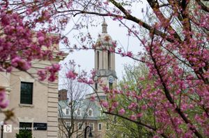 Image post by @dailycollegian on Instagram