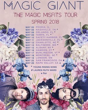 Image post by @magicgiant on Instagram