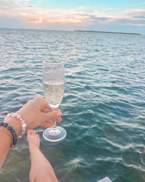 Image post by @visitsarasotacounty on Instagram