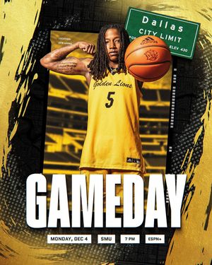 Image post by @uapblionswbb on Instagram