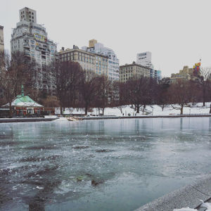 Image post by @amandakl on Instagram