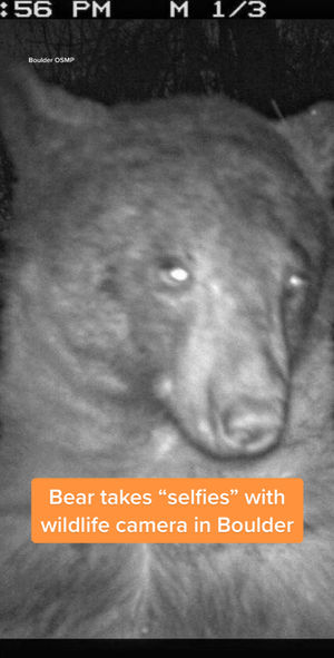 Image post by @foxweather on TikTok
